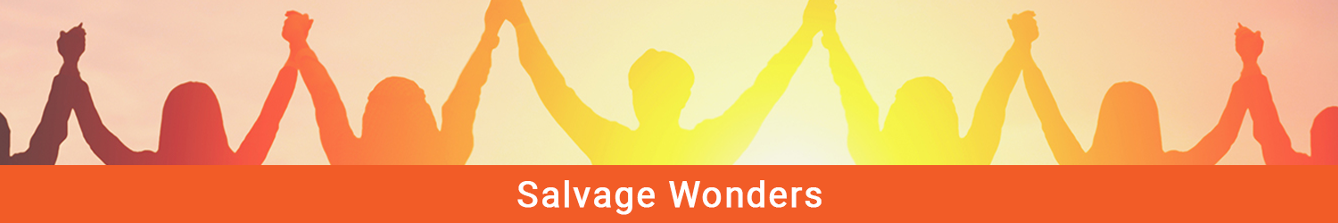 Salvage Wonders